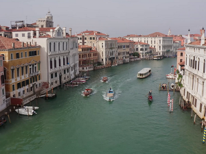 Свевременик Његош: Последњи дани, 9-11