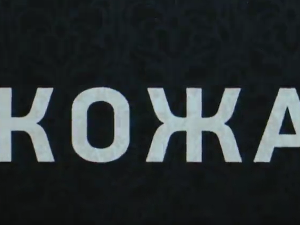 Кожа, 2-10