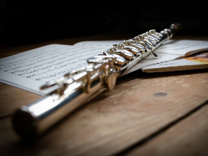 Свирај свирче – Флаута