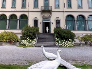 Крађа вредна више милиона евра – карабињери у потрази за ремек-делима Матиса, Реноара и Сезана