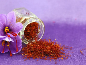 Јутарњи програм из три студија