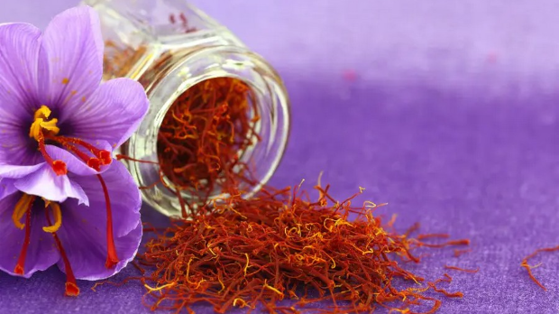 На три воде: Јутарњи програм из три студија