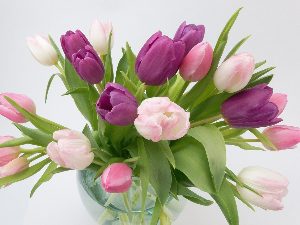 Букет најлепших жеља – Обележавамо Светски дан жена