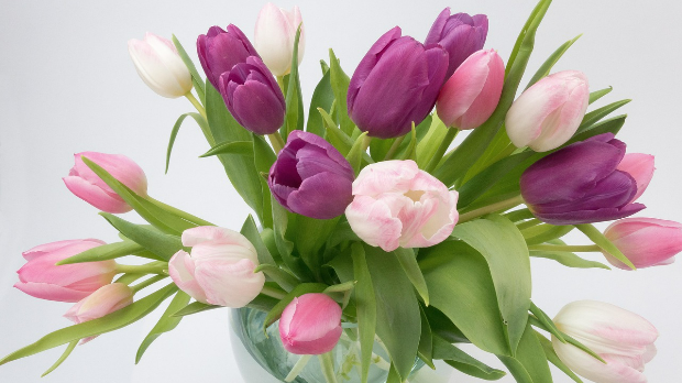 Букет најлепших жеља – Обележавамо Светски дан жена