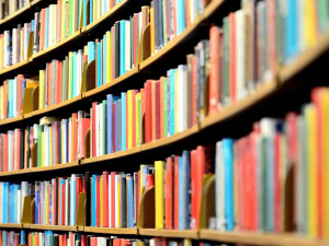 Дневни магазин културе