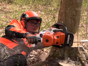 Драгана, Сремица која је покорила свет моторном тестером