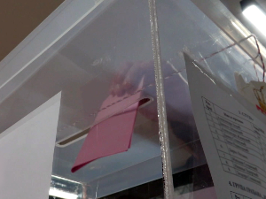 Висока излазност, (не)извесна трка – шта доноси мотивисаност бирача у ванредној изборној години