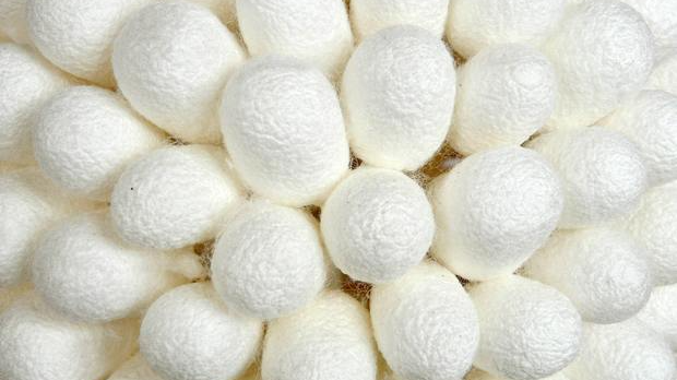 Историја свиле 