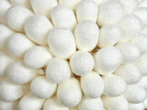 Историја свиле 