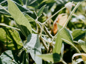 Јутарњи програм из три студија