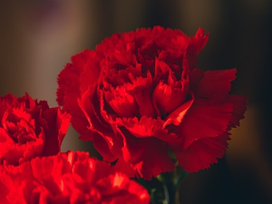 Осми март, женски марш за равноправност и даље траје