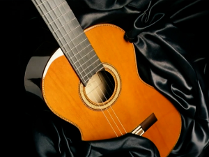 Водимо вас на концерт