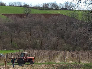 Без слоге нема ништа 