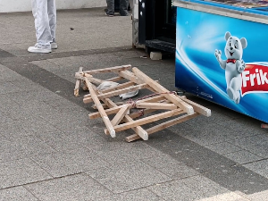 Пале дрвене мердевине са врха тржног центра у Новом Саду, повређена жена