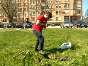 Како је један Лесковчанин покренуо акцију садње необичног дрвећа?