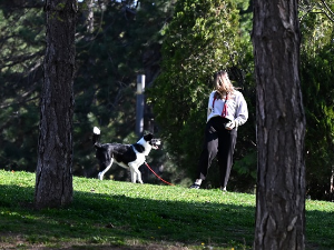 Смена сунца и облака, највиша дневна температура 23 степена