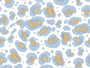 Влада Стојиљковић