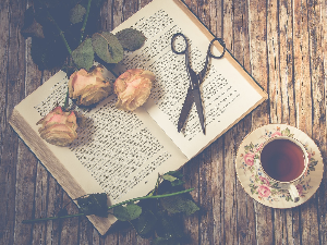 Александар Секулић: ,,Прошле су велике љубави“