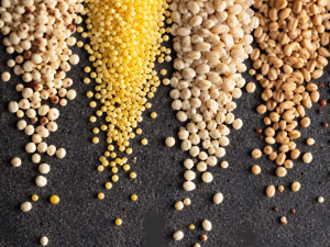 Киноа, спелта, просо: да ли нас древне житарице заиста чине здравијима