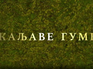 Каљаве гуме, 4-10