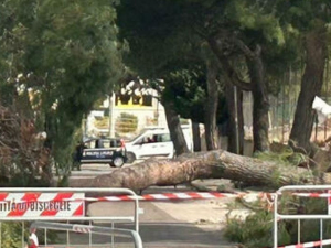 Италија: Климатске промене и запуштено зеленило односе људске животе 