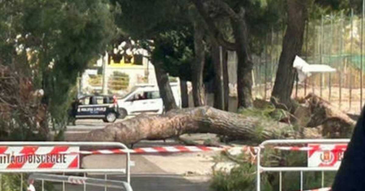 Италија: Климатске промене и запуштено зеленило односе људске животе 