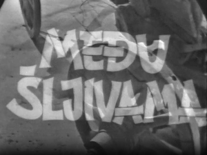 Међу шљивама