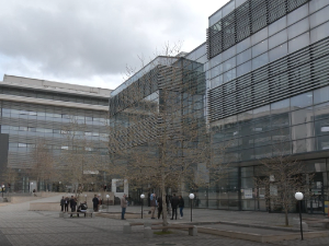 Суд у Приштини: Дејану Пелевићу из Сочанице једномесечни притвор