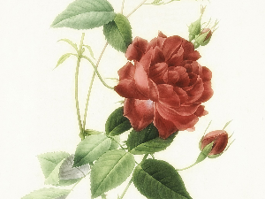 Поезија: Перо Солар 4