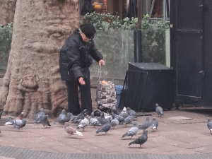 Јутарњи викенд програм