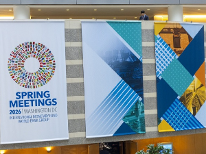 Камер: Контрола цена скупа грешка; Мали: Државне мере одговор на инфлацију