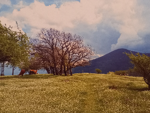 Еколошки магазин