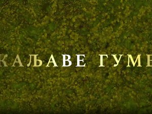 Каљаве гуме, 7-10