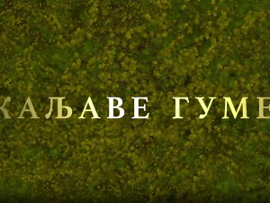 Каљаве гуме, 8-10