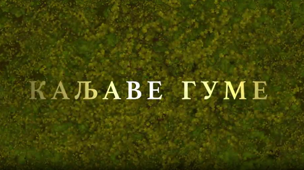 Каљаве гуме, 9-10
