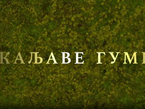 Каљаве гуме, 10-10