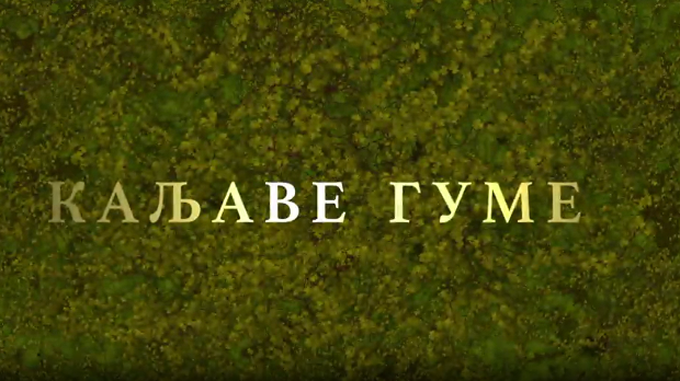 Каљаве гуме, 10-10
