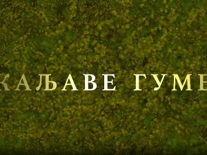 Каљаве гуме, 10-10