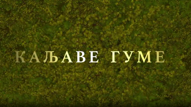 Каљаве гуме, 10-10
