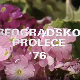 Београдско пролеће '76