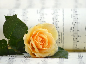 Цвеће као музичка инспирација