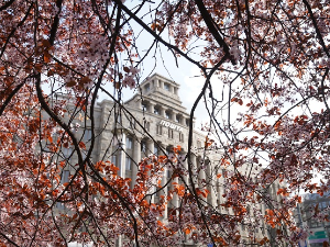 Још један кишни дан пред отопљење, температура до 17 степени