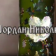 Постер Јордана Николића