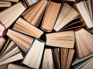 Роман о вирџини и забрањеној љубави и модернистичка поезија о мајци 