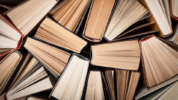 Роман о вирџини и забрањеној љубави и модернистичка поезија о мајци 