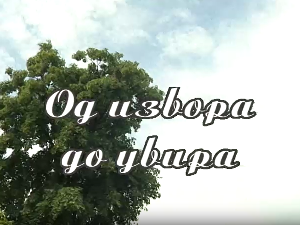 Од извора до увира