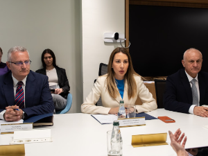 Ђедовић Хандановић са делегацијом СОКАР-а о изградњи гасне електране код Ниша