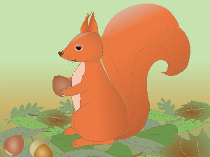 Добро јутро децо: Бонго