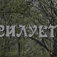 Силуете: Даница Обренић