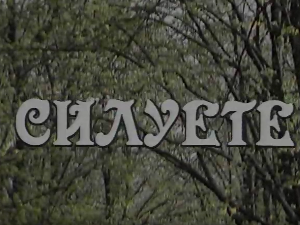 Силуете: Даница Обренић
